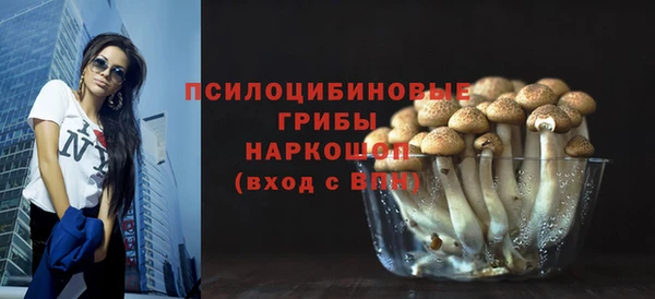 гидропоника Абдулино