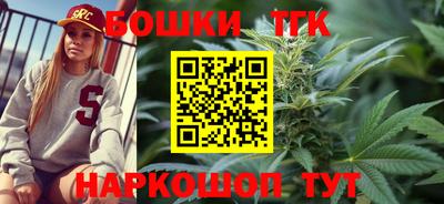 индика Славгород