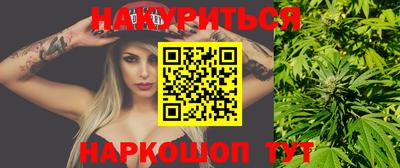 индика Славгород