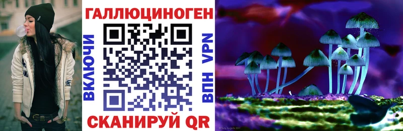 Псилоцибиновые грибы Psilocybe  Подольск 
