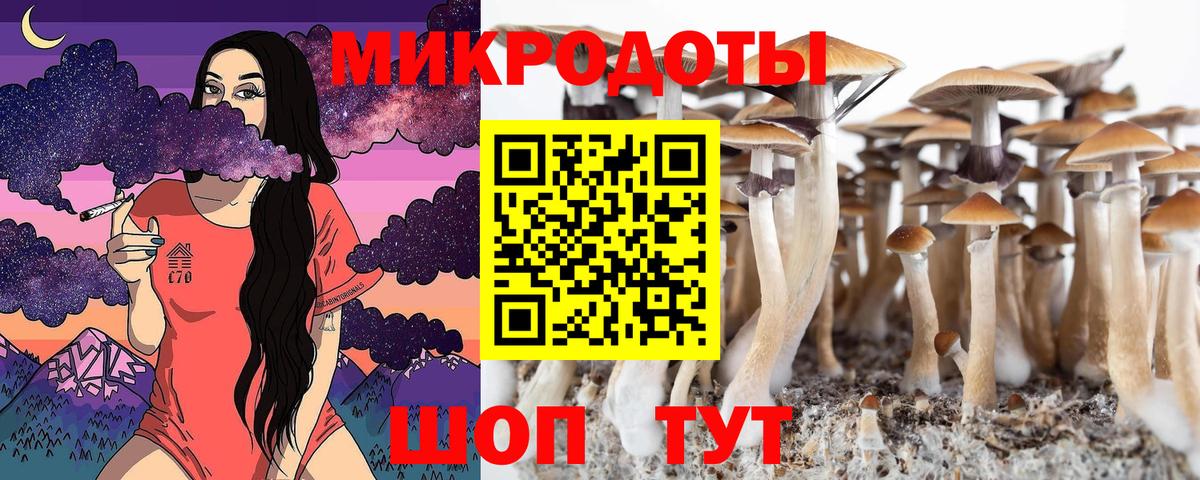 Псилоцибиновые грибы Psilocybe Подольск