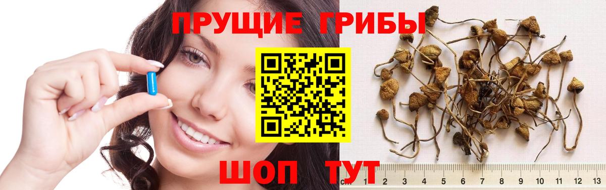 Подольск  где купить наркотик  Вход с VPN  Псилоцибиновые грибы ЛСД 