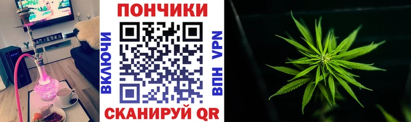 Бошки марихуана VHQ Подольск